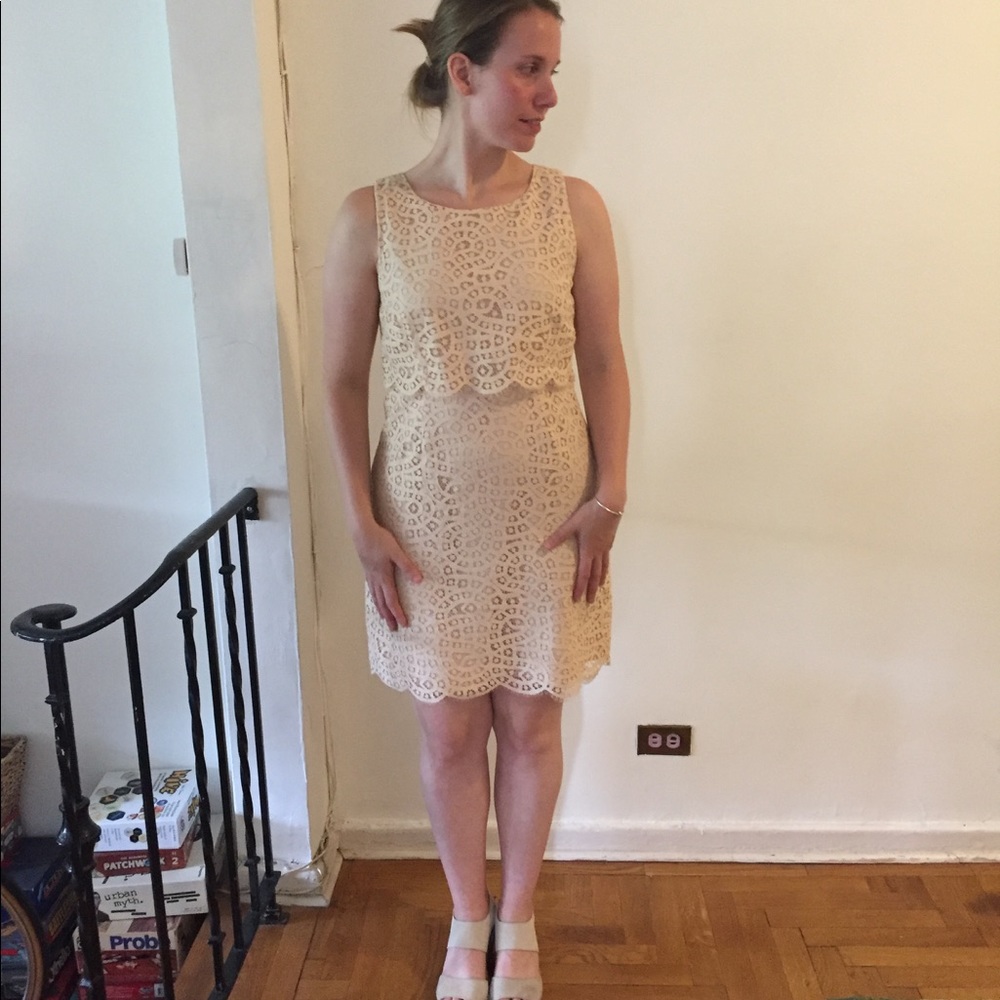 J. Crew Lace Sheath Dress in Cream - 8